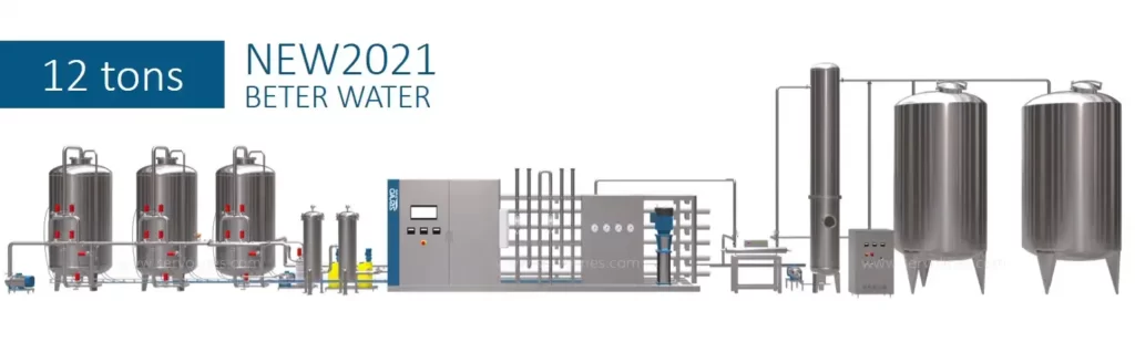 12T/H Reverse Osmosis Water Treatment System
